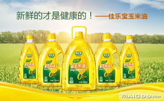 佳樂(lè)寶玉米油 品牌、價(jià)格與品質(zhì)全解析